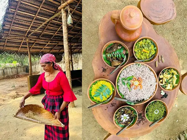udawalawe village tour