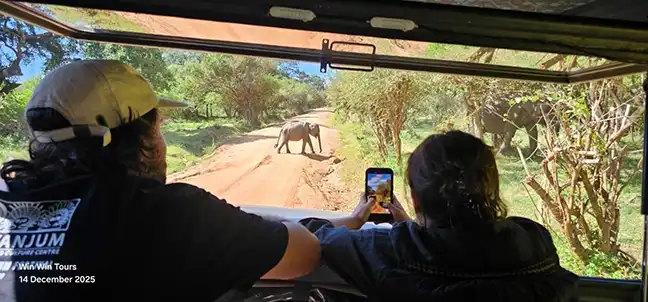 Yala-Safari-Tour mit Win Win Tours